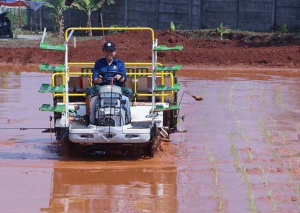 Rice Transplanter