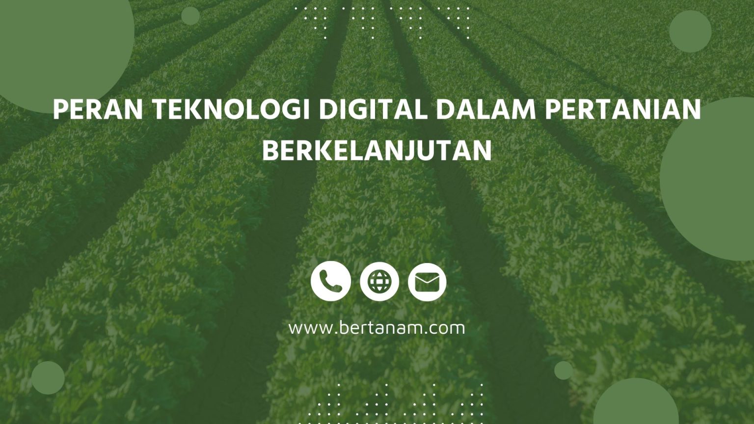 Peran Teknologi Digital dalam Pangan Berkelanjutan di Desa