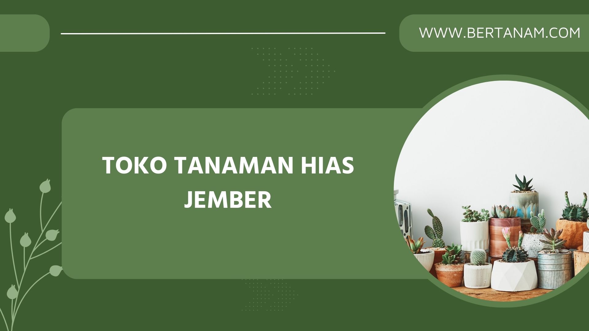 Toko Tanaman Hias Jember Beserta Alamat Lengkapnnya - Bertanam