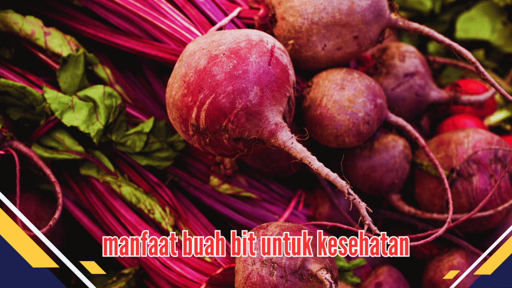 manfaat buah bit untuk kesehatan