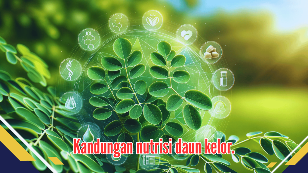 Kandungan nutrisi daun kelor