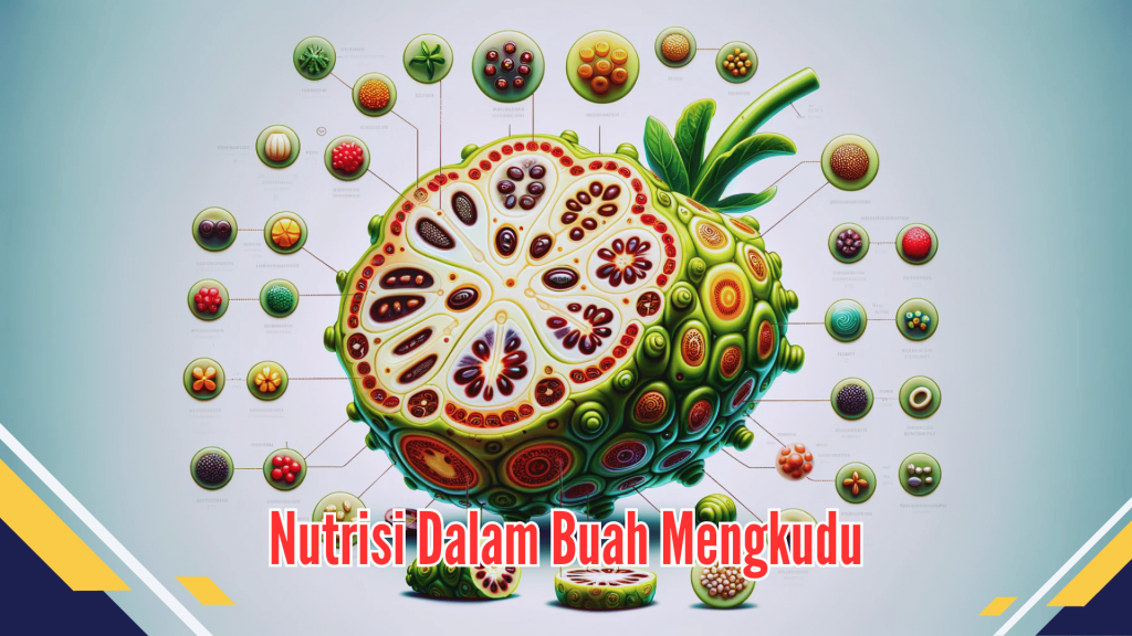 Nutrisi Dalam Buah Mengkudu