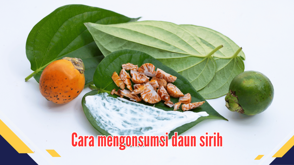 cara mengonsumsi daun sirih