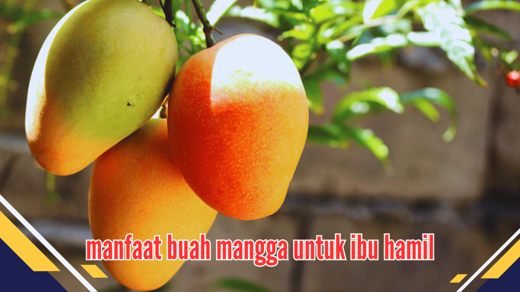 Manfaat Buah Mangga untuk Ibu Hamil