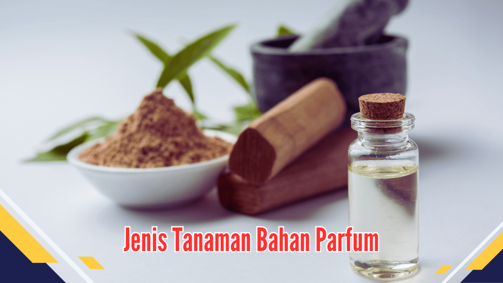 Jenis Tanaman Bahan Parfum