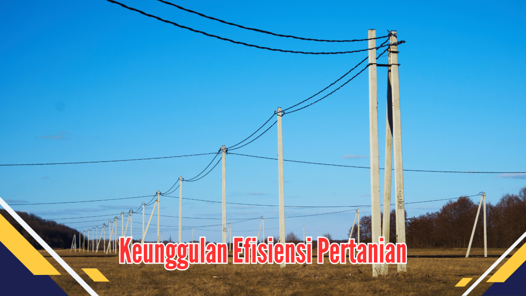 Keunggulan Efisiensi Pertanian