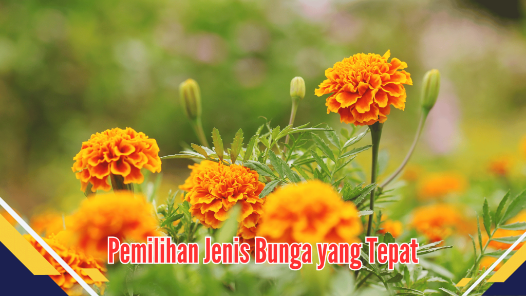 Pemilihan Jenis Bunga yang Tepat