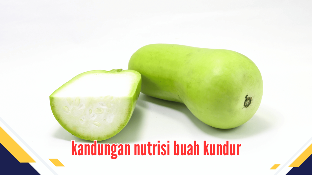 Kandungan nutrisi buah kundur