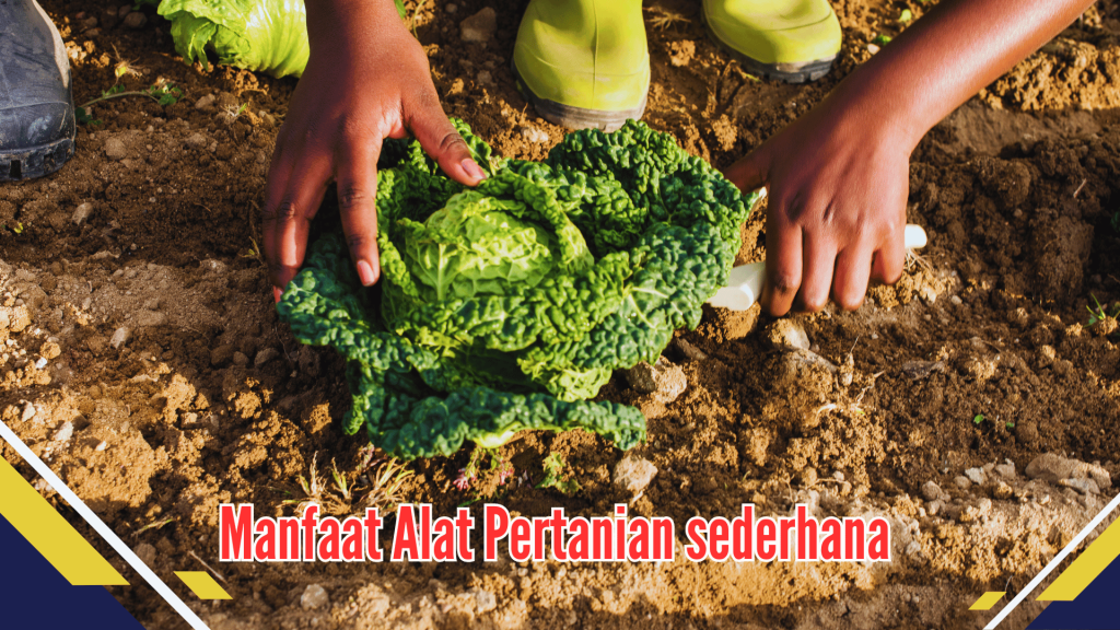 Manfaat Alat Pertanian sederhana