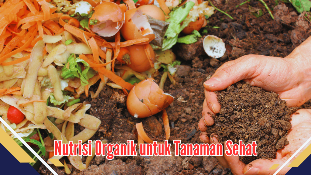 Nutrisi Organik untuk Tanaman Sehat