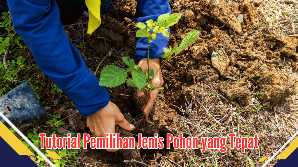 Tutorial Pemilihan Jenis Pohon yang Tepat