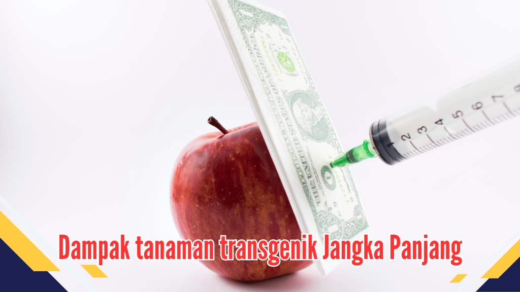 Dampak tanaman transgenik Jangka Panjang