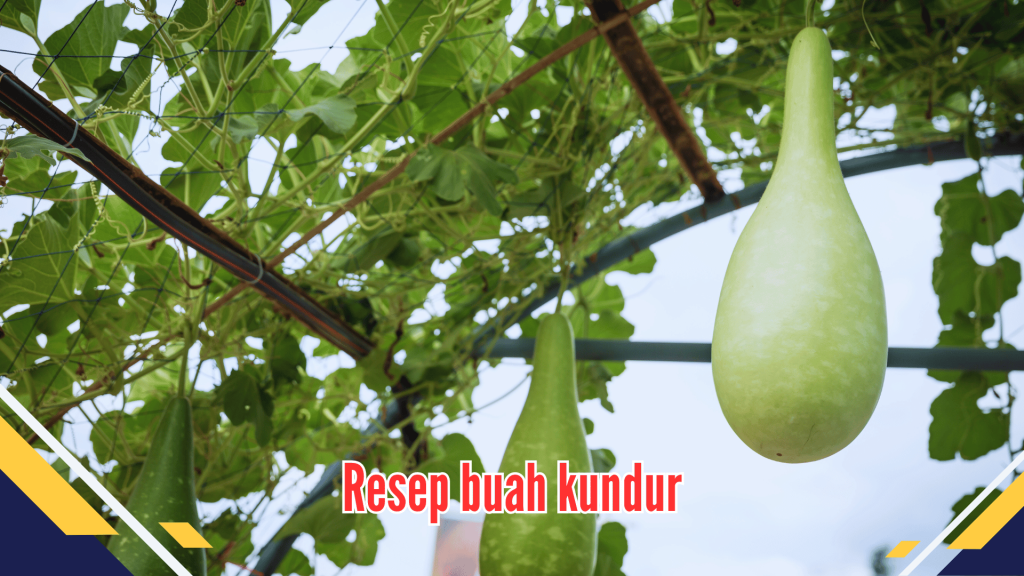 Resep buah kundur