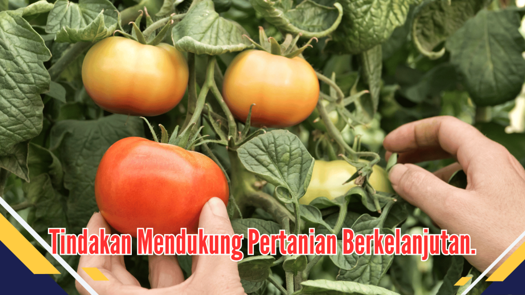 Tindakan Mendukung Pertanian Berkelanjutan.