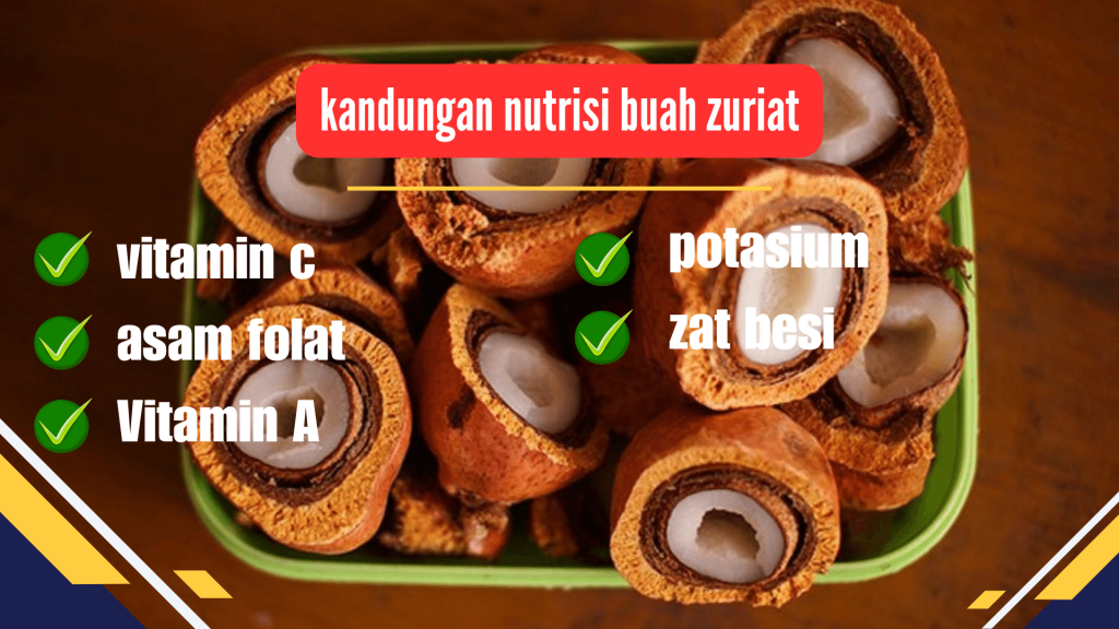 kandungan nutrisi buah zuriat