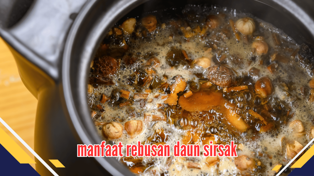 Manfaat Rebusan Daun Sirsak