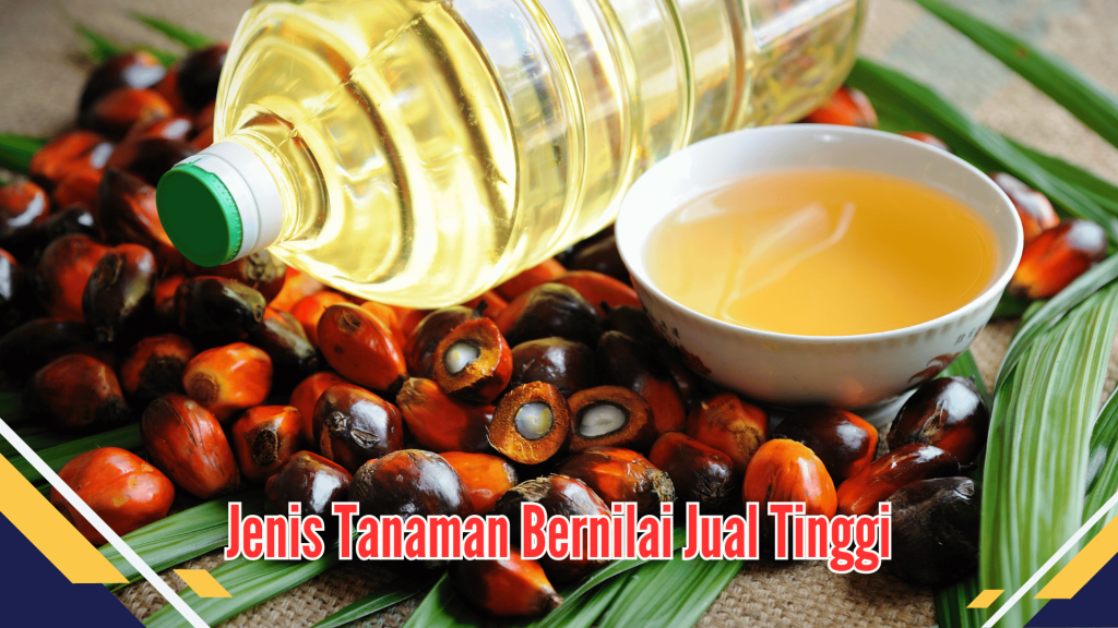 Jenis Tanaman Bernilai Jual Tinggi