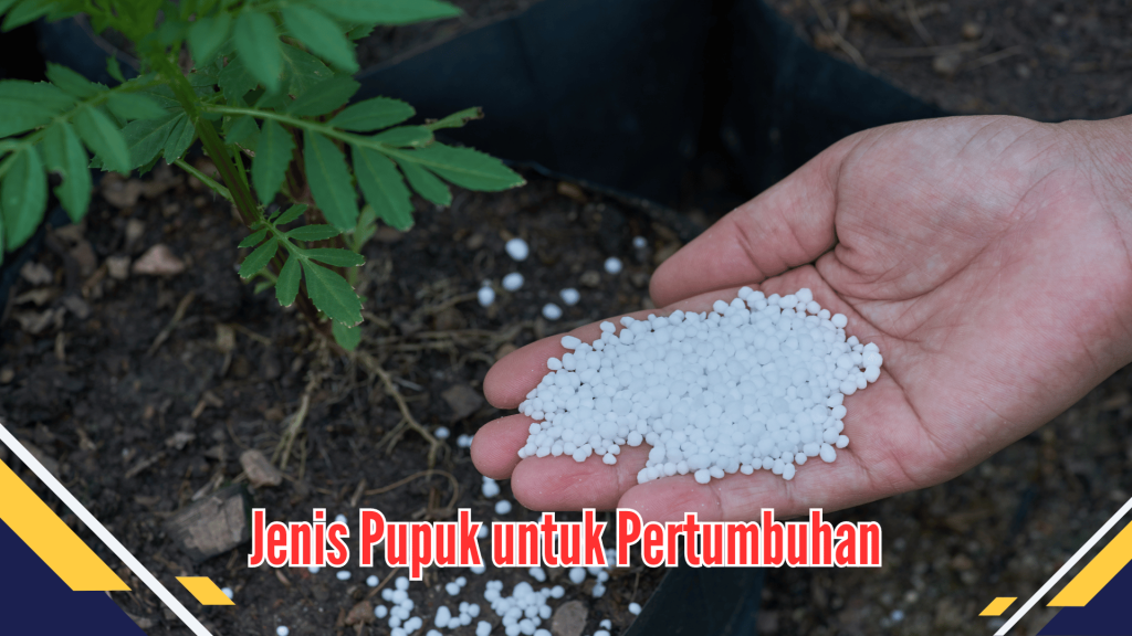 Jenis Pupuk untuk Pertumbuhan