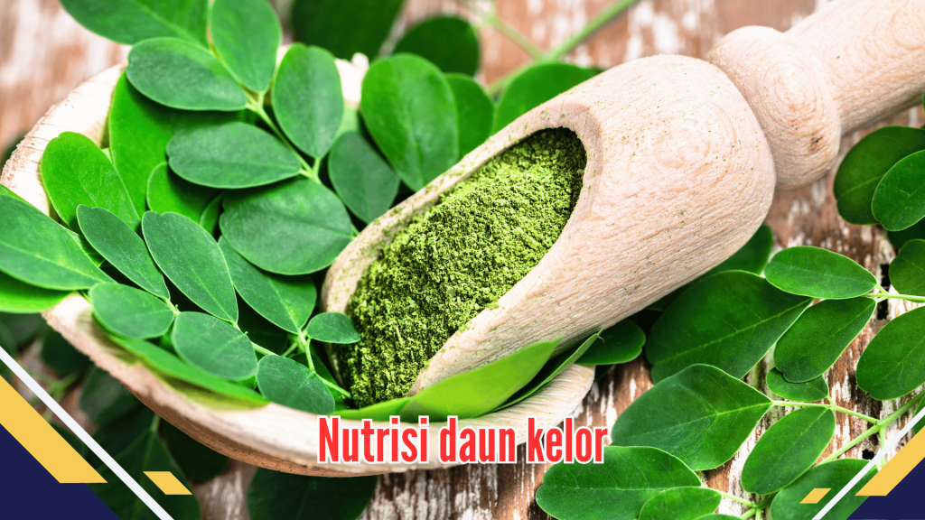 Nutrisi Daun Kelor