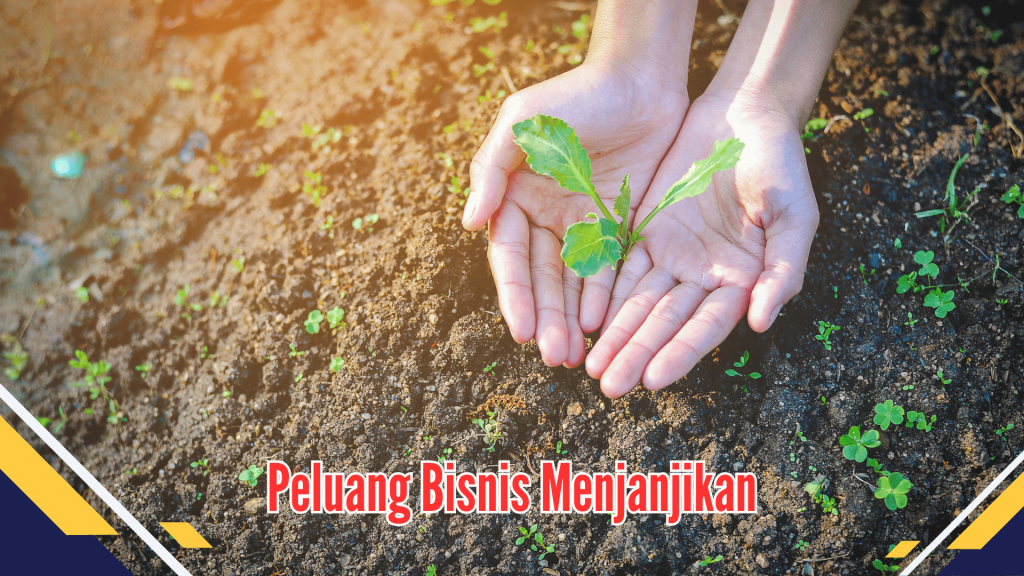 Peluang Bisnis Menjanjikan