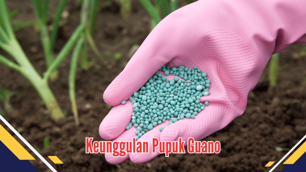 Keunggulan Pupuk Guano