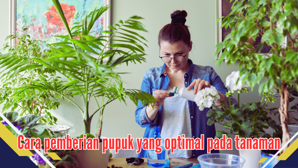 Cara pemberian pupuk yang optimal pada tanaman