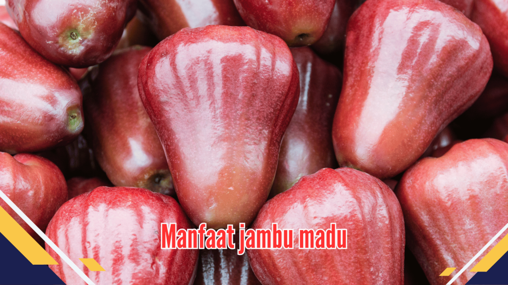 Manfaat jambu madu