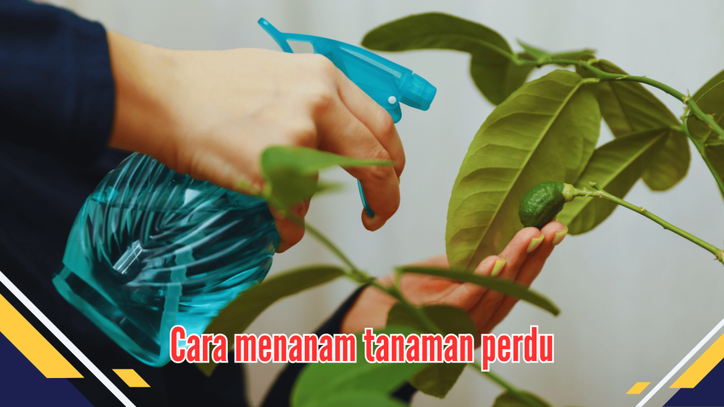 Cara menanam tanaman perdu