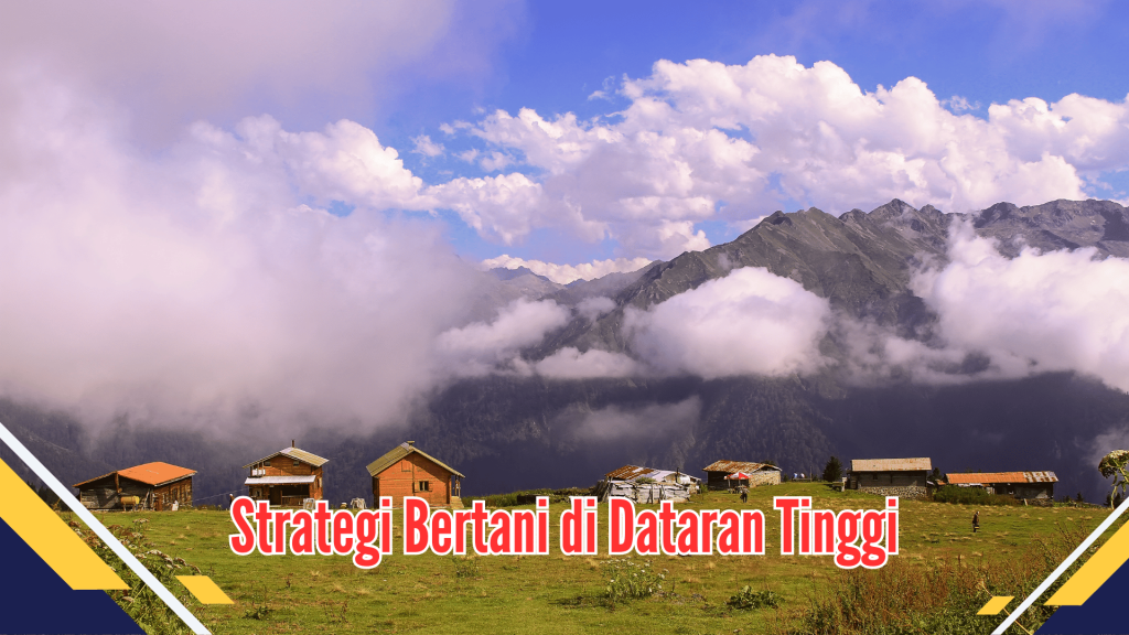 Strategi Bertani di Dataran Tinggi