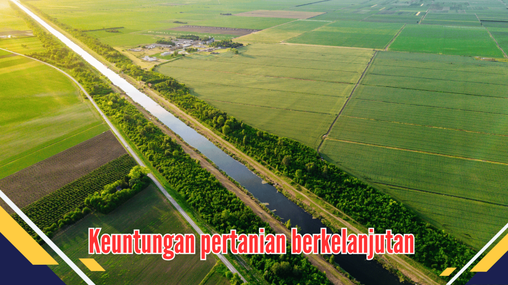 Keuntungan pertanian berkelanjutan 