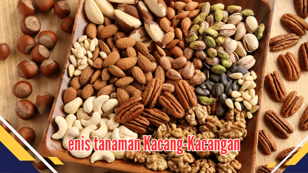 Jenis Tanaman Kacang-Kacangan