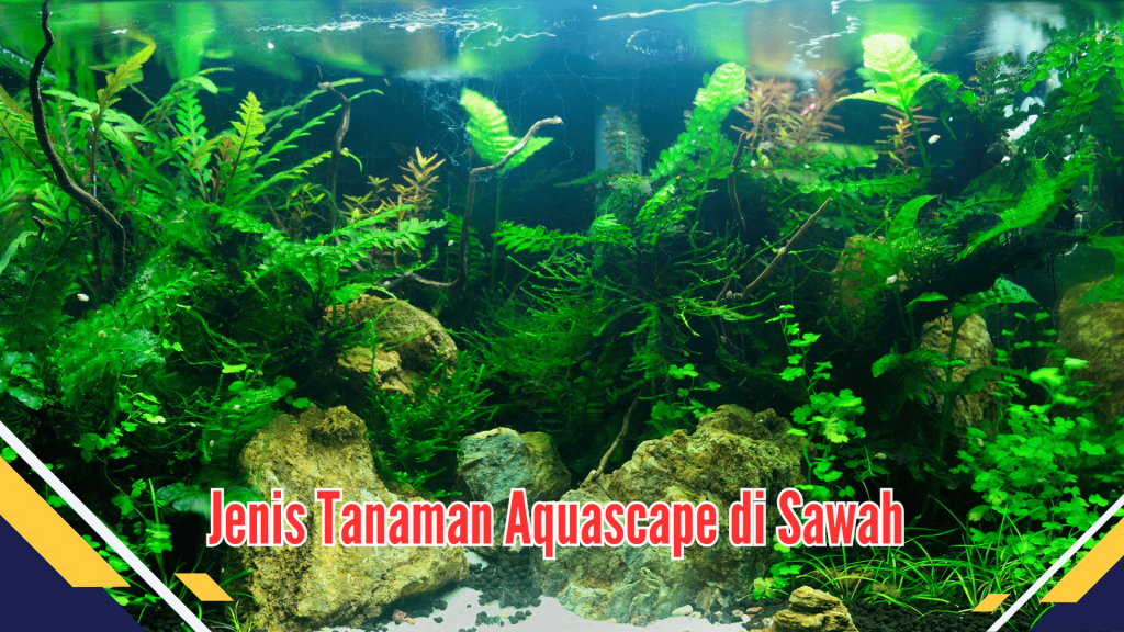 Jenis Tanaman Aquascape di Sawah 