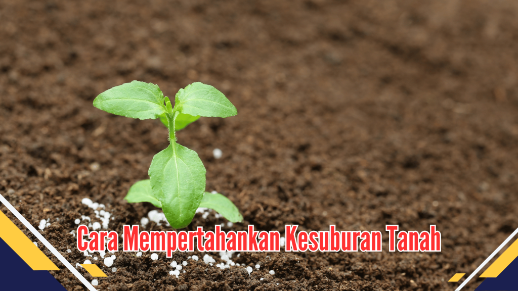 Cara Ampuh Mempertahankan Kesuburan Tanah