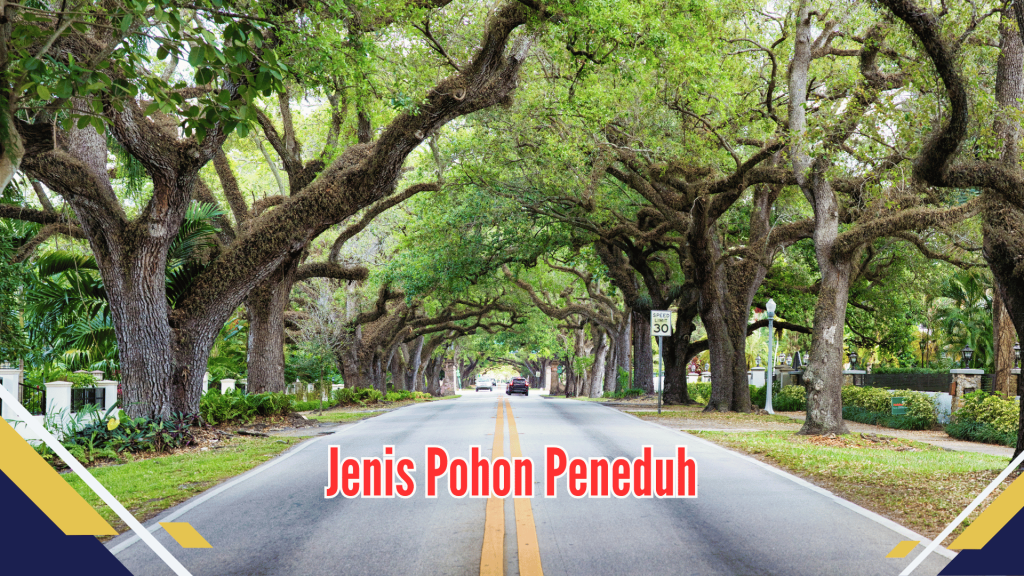 Jenis Pohon Peneduh