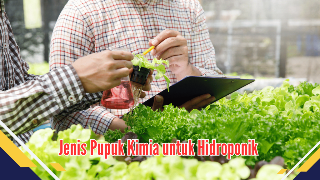 Jenis Pupuk Kimia untuk Hidroponik