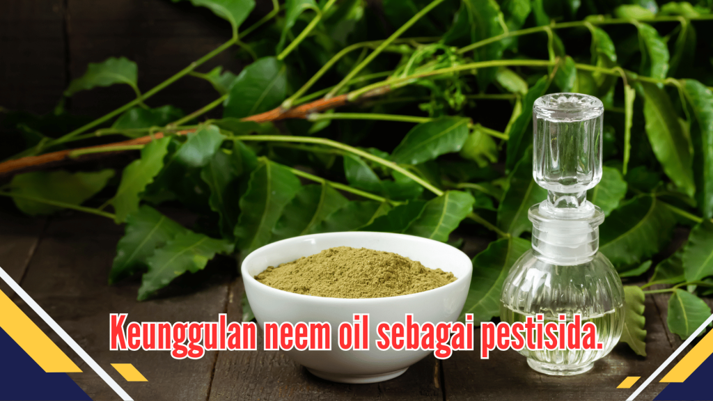 Keunggulan neem oil sebagai pestisida