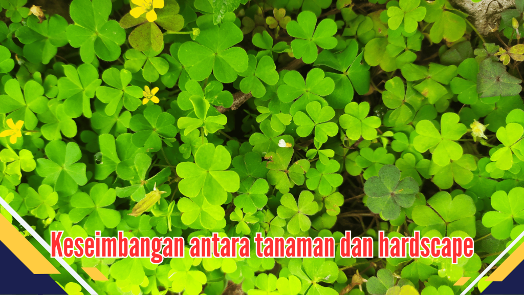 Keseimbangan antara tanaman dan hardscape