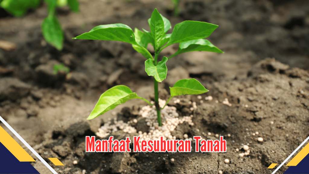 Manfaat Kesuburan Tanah