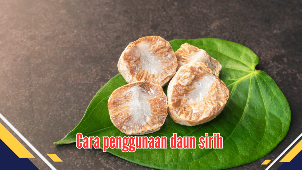 Cara penggunaan daun sirih