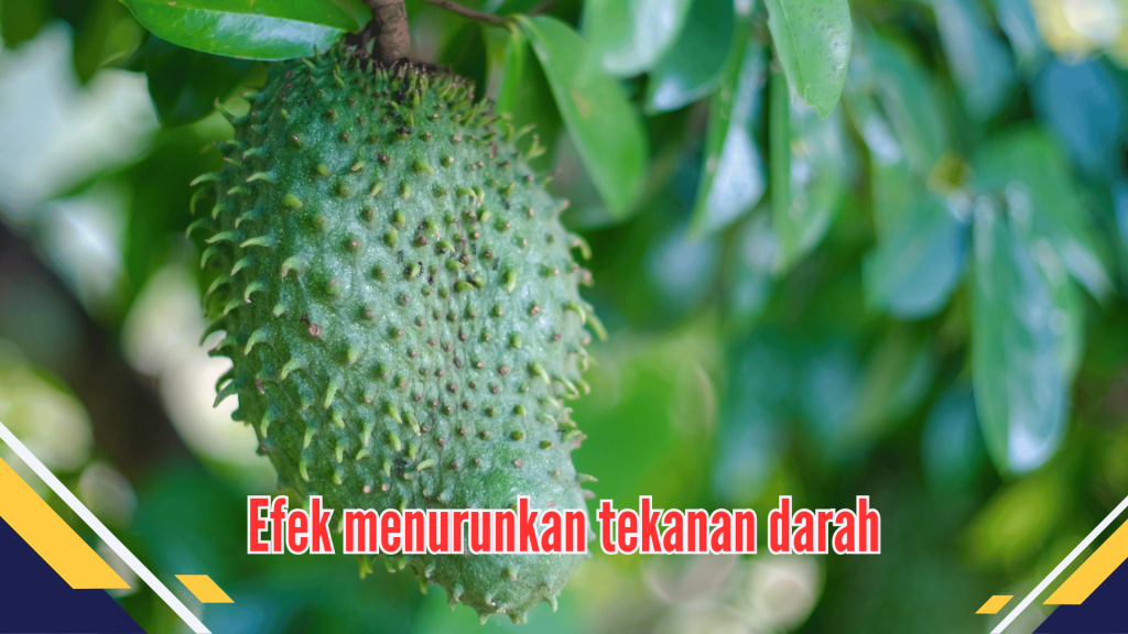 Efek menurunkan tekanan darah