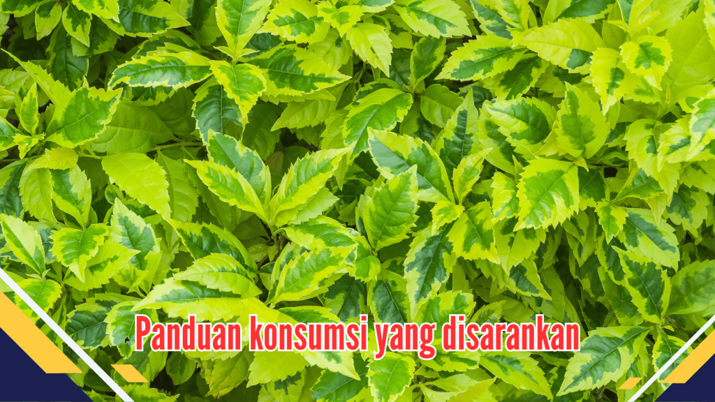 Panduan konsumsi yang disarankan Panduan konsumsi yang disarankan