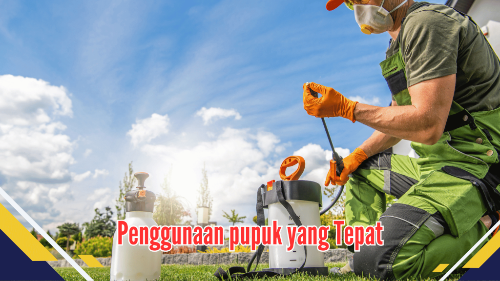 Penggunaan pupuk yang Tepat