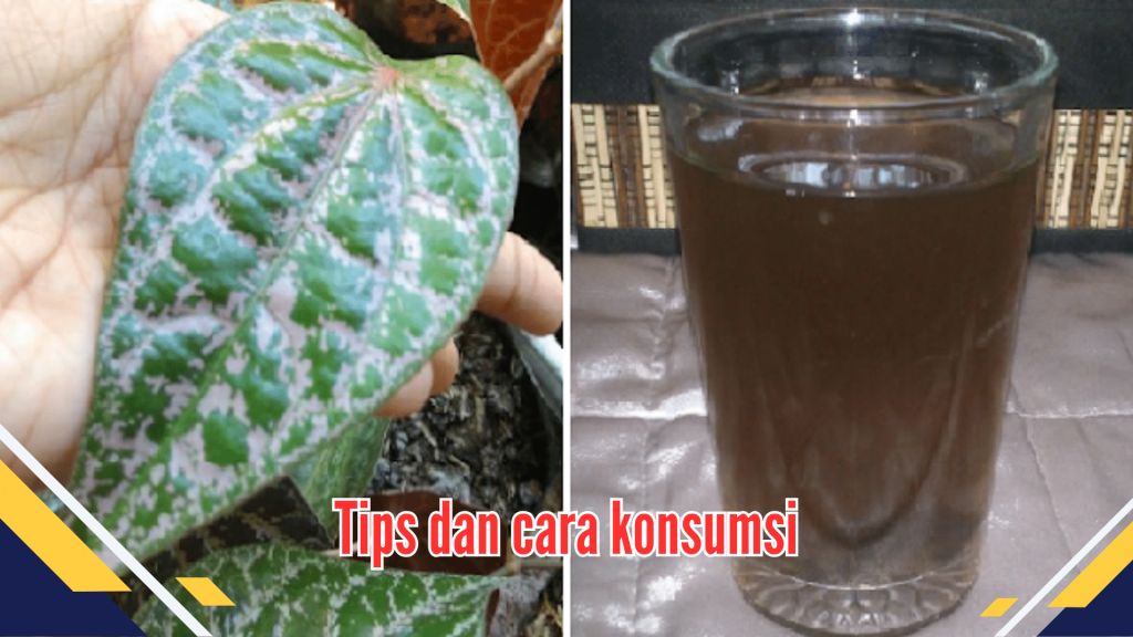 Tips dan cara konsumsi