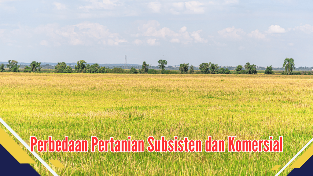 Pertanian Subsisten dan Komersial
