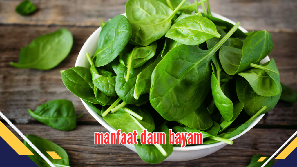 Manfaat Daun Bayam