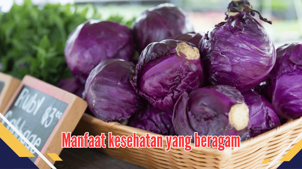 Manfaat kesehatan yang beragam