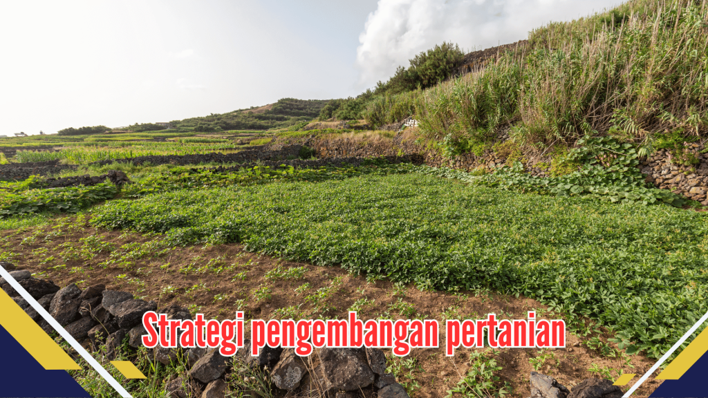 Strategi pengembangan pertanian
