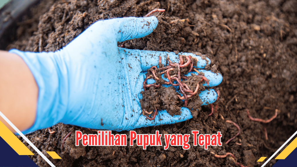 Pemilihan Pupuk yang Tepat