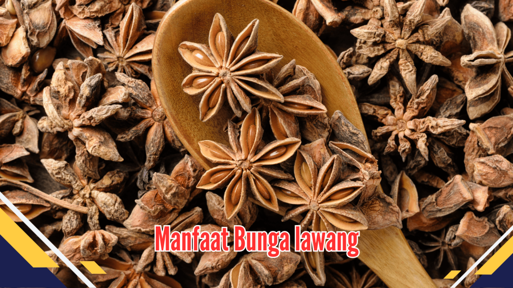 Manfaat Bunga lawang