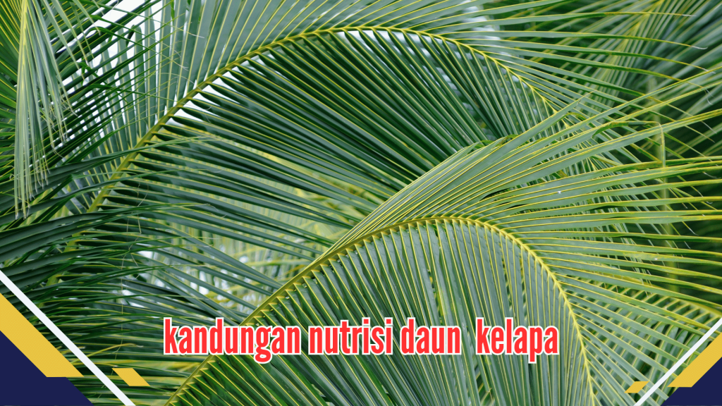 Kandungan Nutrisi Daun Kelapa